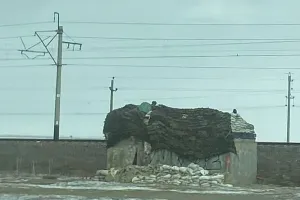 Оборона